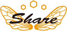 Share WEBコンサルティング